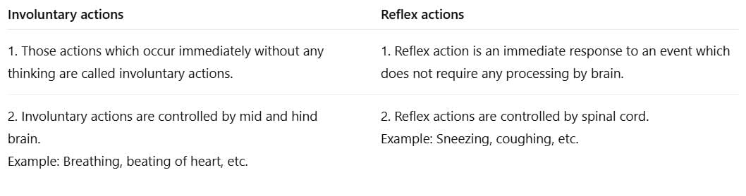 NCERT Solutions for Class 10 Science Chapter 6 - Control and Coordination