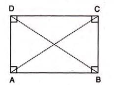 Rectilinear Figures Chapter Notes | Mathematics Class 9 ICSE