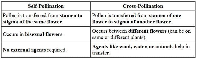 Class 10 Science Chapter 7 Previous Year Questions - How do Organisms Reproduce?