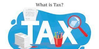 Our Government Class 4 Worksheet SST