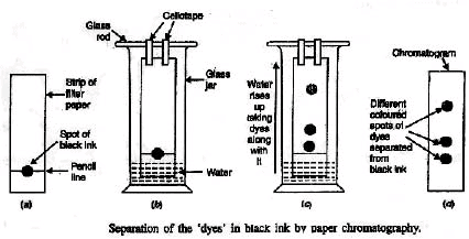Is Matter Around Us Pure? Class 9 Notes Science Chapter 2