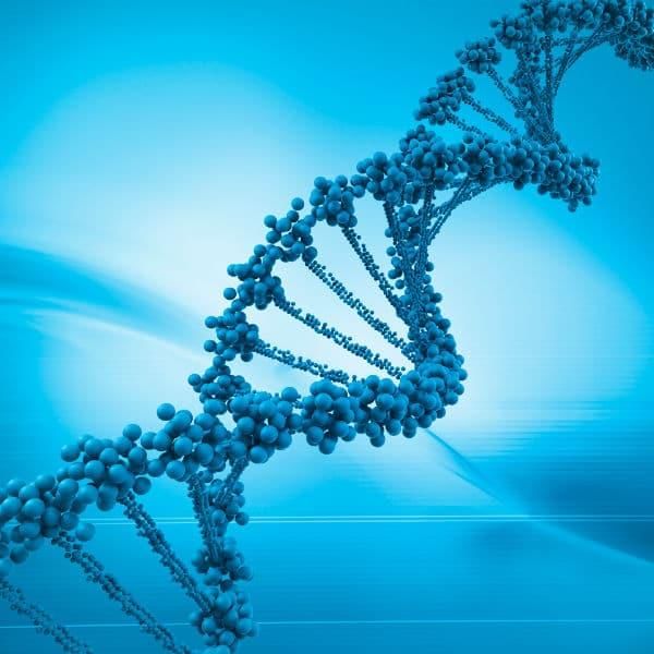 Revision Notes: Genetics - Some Basic Fundamentals | Preparation for EmSAT Grade 10