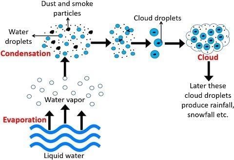 Unit Test (Solutions): A Journey through States of Water | Science for Class 6
