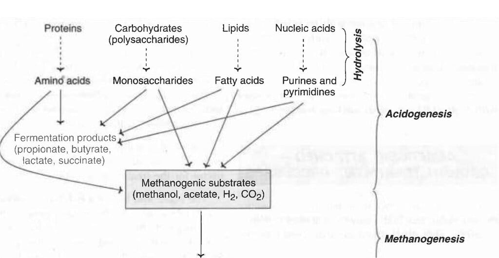 Sewage/Waste Water Treatment Chapter Notes - Biotechnology for GPAT PDF