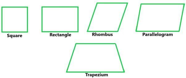 Polygons: Quadrilaterals | Mathematics Class 8- New NCERT (Ganita Prakash)