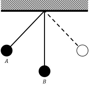 answer Image