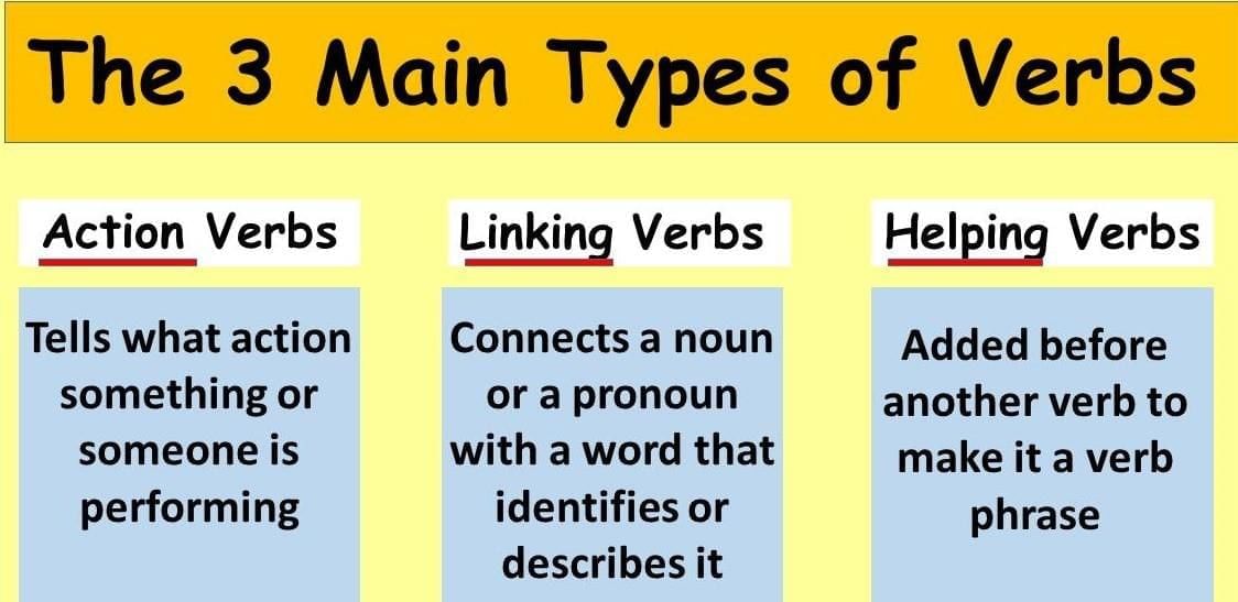 Verb | English Grammar for Junior Classes - Class 1