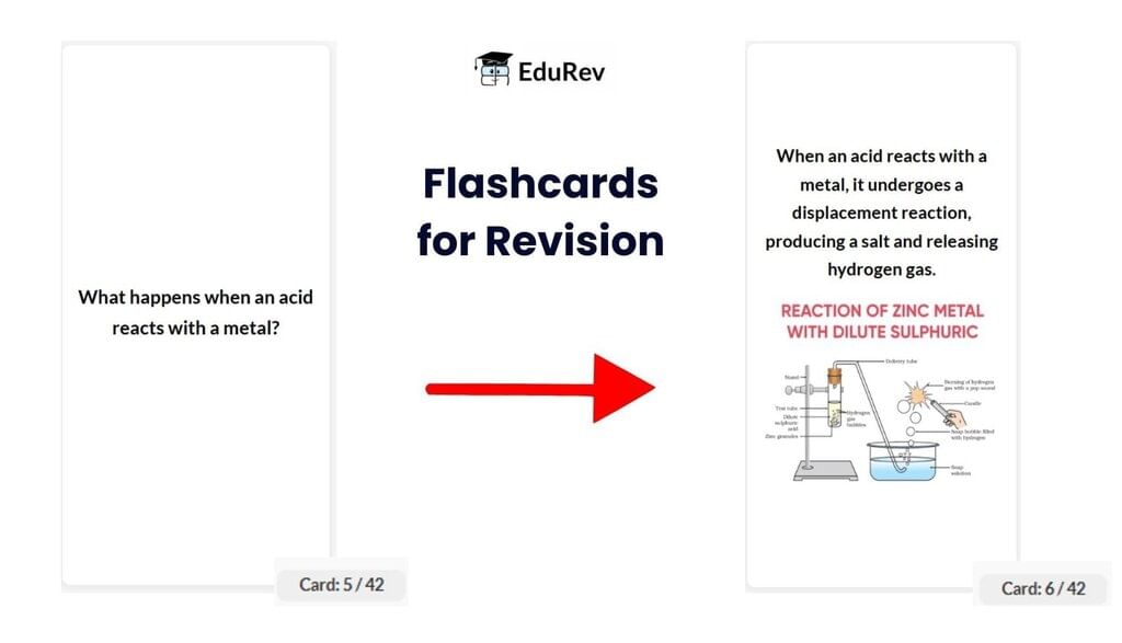 What do you get under EduRev Infinity Package for Class 10? | Social Studies (SST) Class 10
