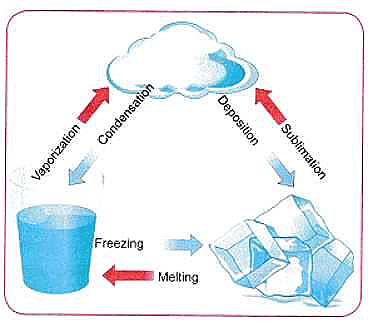 Particulate Nature of Matter NCERT Solutions | Science Curiosity Class 8 -  New NCERT