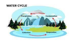 Weather, Water and Air - 1 Class 4 Worksheet Science