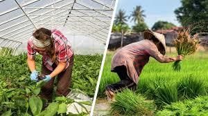 Agricultural Patterns in India Chapter Notes | Footprints Class 7: Book Solutions, Notes & Worksheets