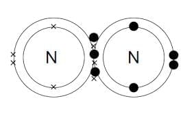 Carbon Compounds Chapter Notes | Earth and Environmental Science for Year 12