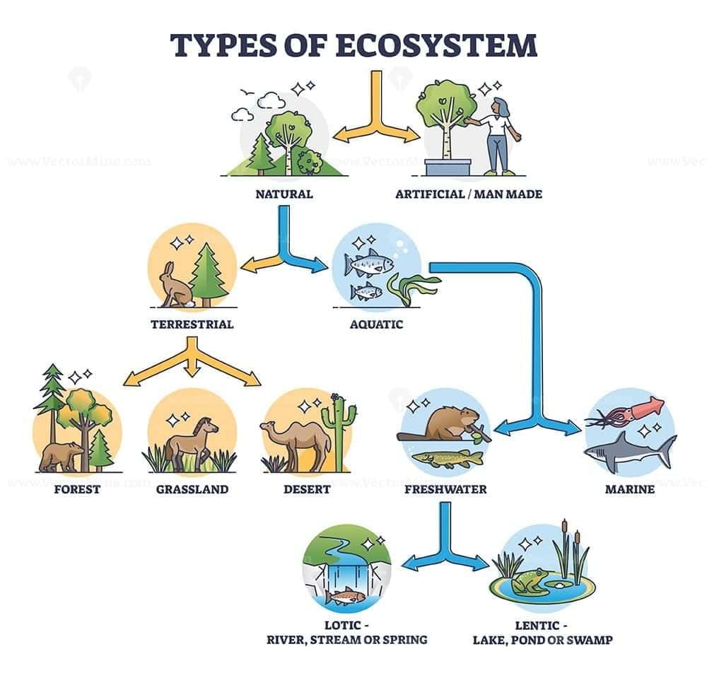 Short and Long Answer Questions: How Nature Works in Harmony | Science Curiosity Class 8 -  New NCERT