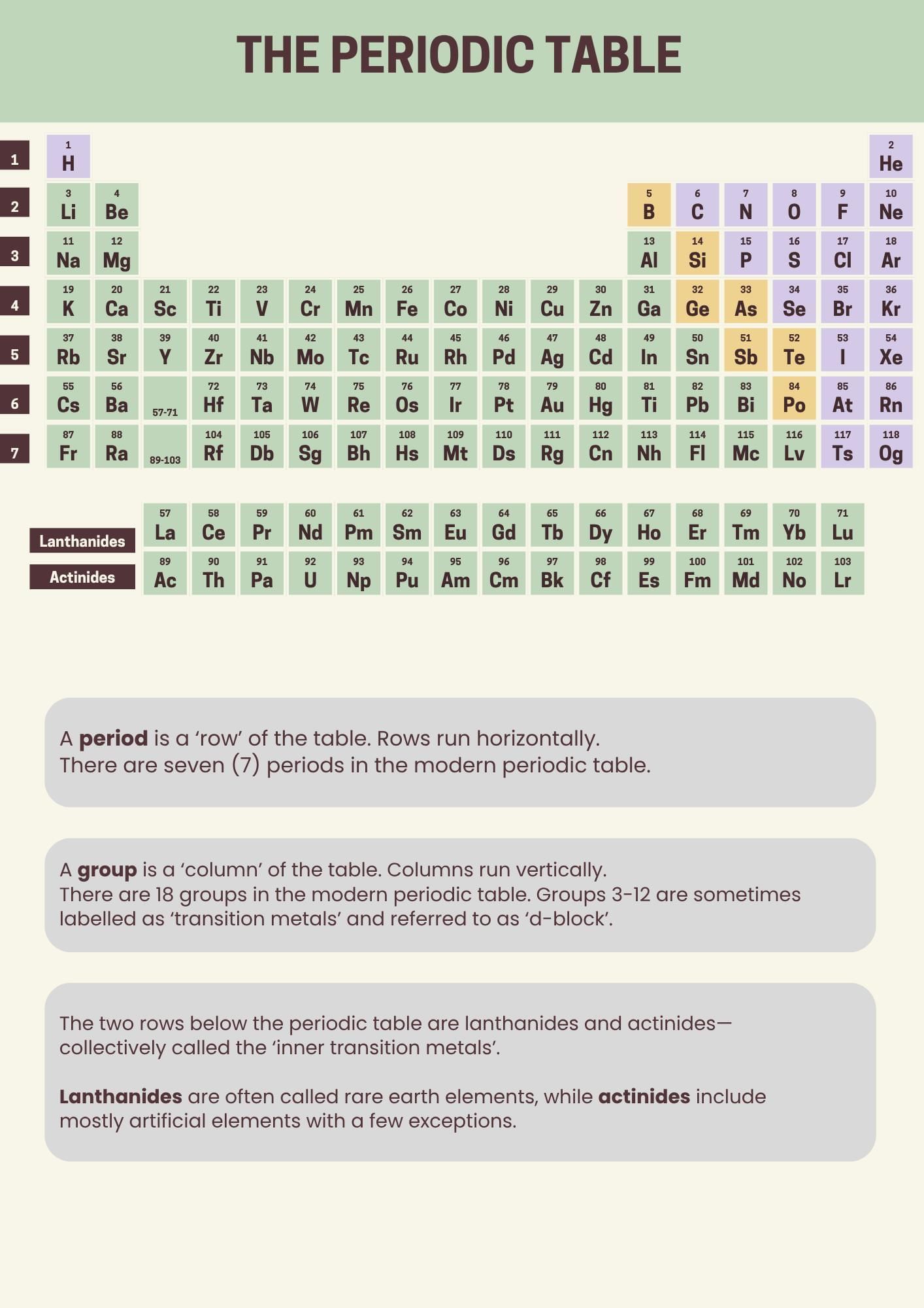 Infographic: Classification of Elements & Periodicity in Properties | Chemistry Class 11 - NEET