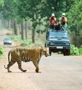 Environment and Ecology (Part 2): July 2025 UPSC Current Affairs | Environment for UPSC CSE