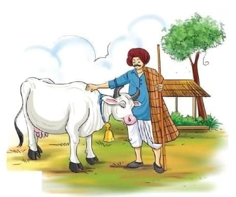 Worksheet: सुंदरिया | Worksheets with Solutions for Class 5
