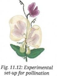 Activity 11.6 : Let us investigate