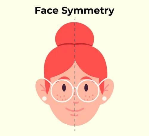 Symmetry Chapter Notes | Mathematics Class 6 ICSE