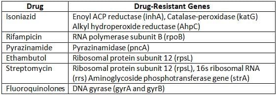 Mycobacteria Chapter Notes | Microbiology - NEET PG