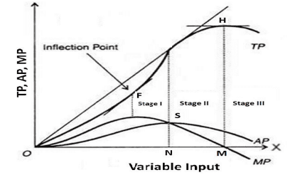 Unit 1: Theory of Production Chapter Notes | Business Economics for CA Foundation