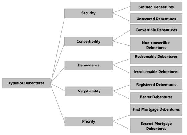 Unit 3: Issue of Debentures Chapter Notes | Accounting for CA Foundation