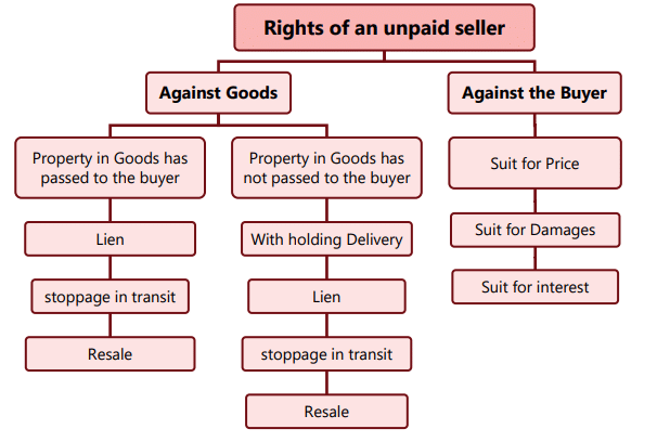 Unit 4: Unpaid Seller Chapter Notes | Business Laws for CA Foundation