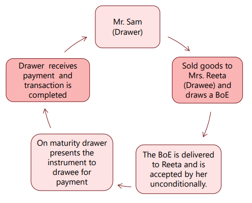 The Negotiable Instruments Act, 1881 Chapter Notes | Business Laws for CA Foundation