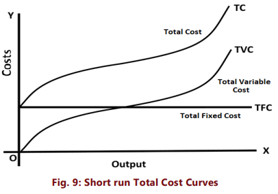Unit 2: Theory of Cost Chapter Notes | Business Economics for CA Foundation