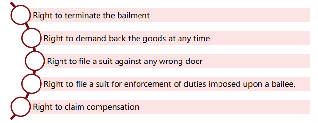 Unit 8: Bailment and Pledge Chapter Notes | Business Laws for CA Foundation