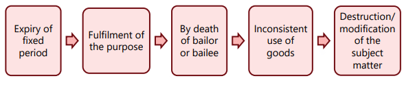 Unit 8: Bailment and Pledge Chapter Notes | Business Laws for CA Foundation