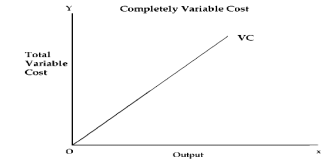 Unit 2: Theory of Cost Chapter Notes | Business Economics for CA Foundation