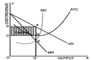 Unit 3: Price Output Determination under Different Market Forms Chapter Notes | Business Economics for CA Foundation