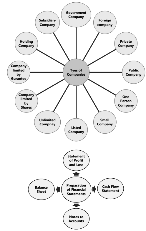 Unit 1: Introduction to Company Accounts Chapter Notes | Accounting for CA Foundation