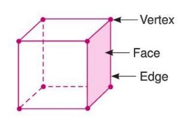 Visualizing Solid Shapes Chapter Notes | Mathematics Class 7 ICSE