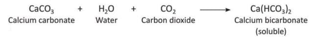 Carbon and Its Compounds Chapter Notes | Chemistry Class 8 ICSE