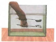 Fig. 10.6(b): Tapping two spoons against eachother in  water