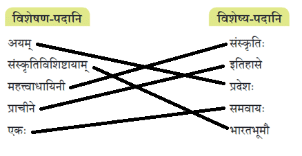 पश्यत कोणमैशान्यं भारतस्य मनोहरम् NCERT Solutions | Sanskrit  (Deepakam) Class  8  -  New  NCERT - Class 8