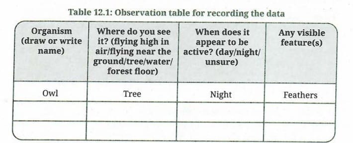 Activity 12.1: Let us compare and classify