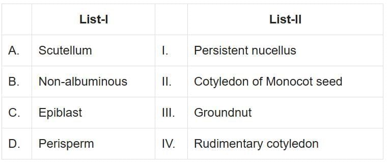 NEET Previous Year Questions(2016-25): Morphology of Flowering Plants | Biology Class 11