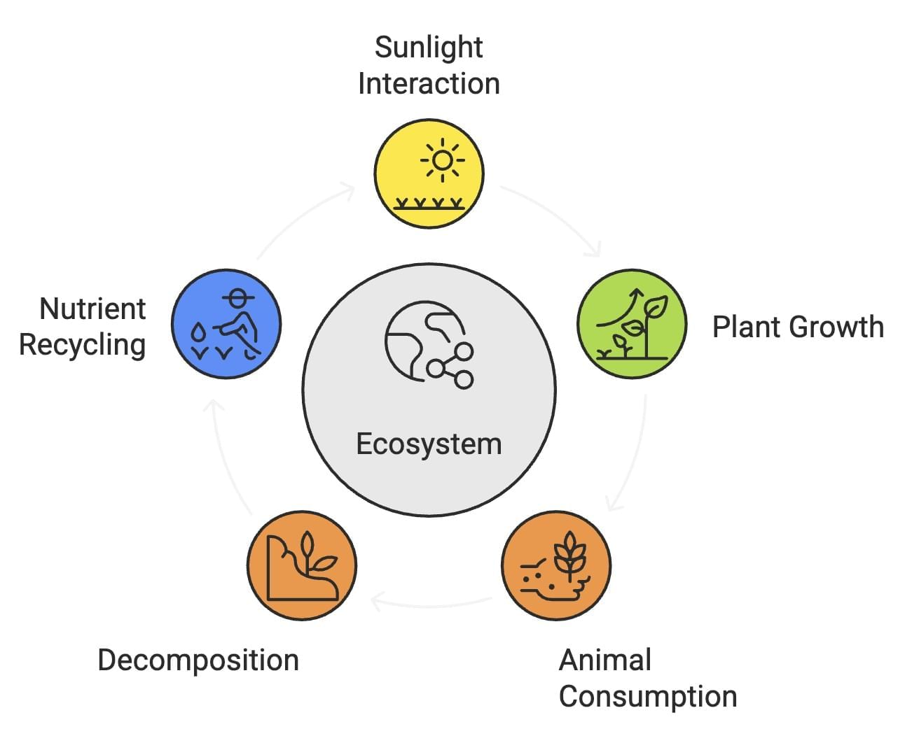 Ecosystems Chapter Notes | Science for Grade 7