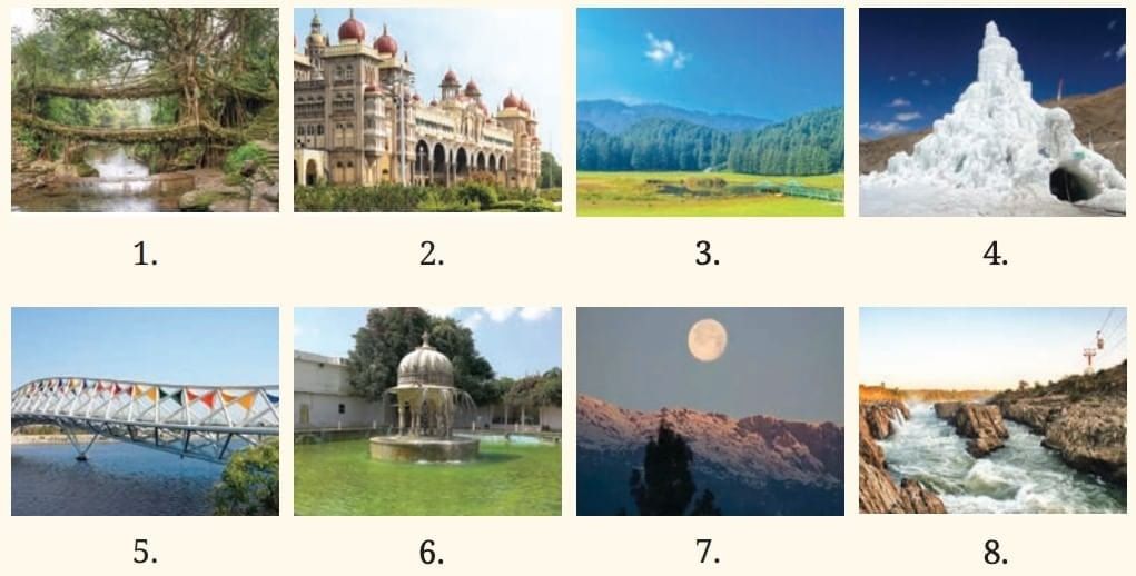 Spectacular Wonders NCERT Solutions | English Poorvi Class 8 - New NCERT