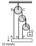 NLM - Constrained Motion; Chapter Notes; Class 11; Physics (IIT-JEE and AIPMT)