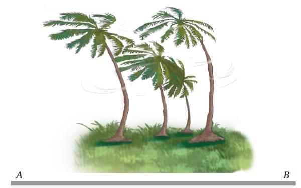 Pressure, Winds, Storms, and Cyclones NCERT Solutions | Science Curiosity Class 8 -  New NCERT