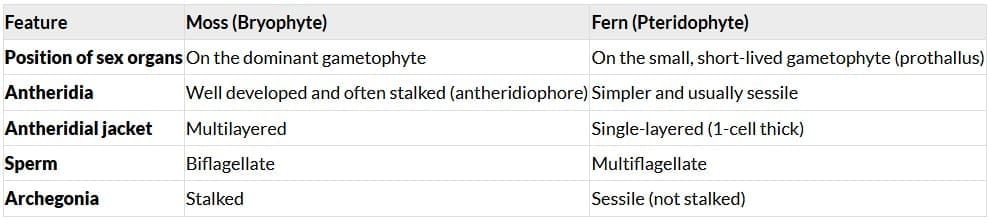 Section G. Long Answer Type