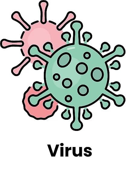 Living World and Classification of Microbes Chapter Notes | General Science Class 8 (Maharashtra Board)