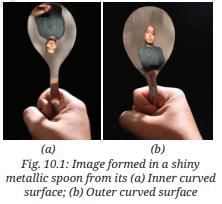 NCERT Based Activity: Light: Mirrors and Lenses | Science Curiosity Class 8 -  New NCERT
