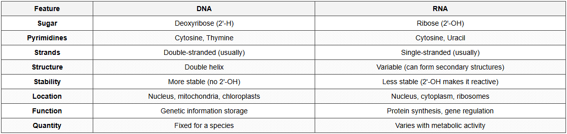 DNA vs RNA