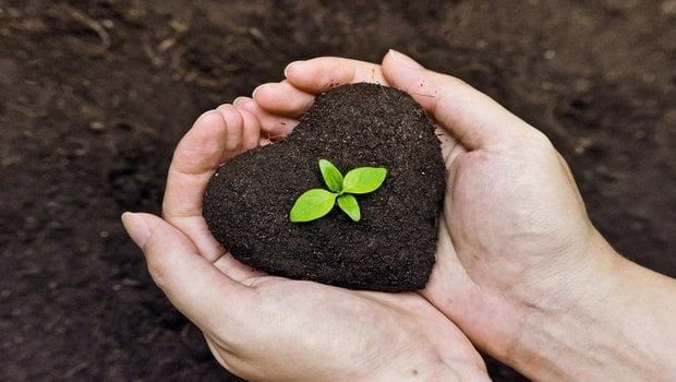 Organic farming in india - Competitive Examinations