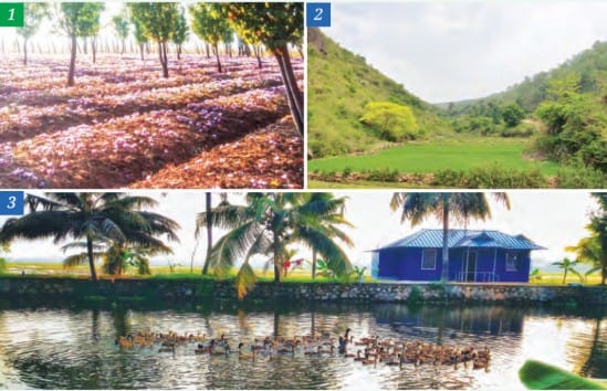 Traditional vs Modern Agriculture