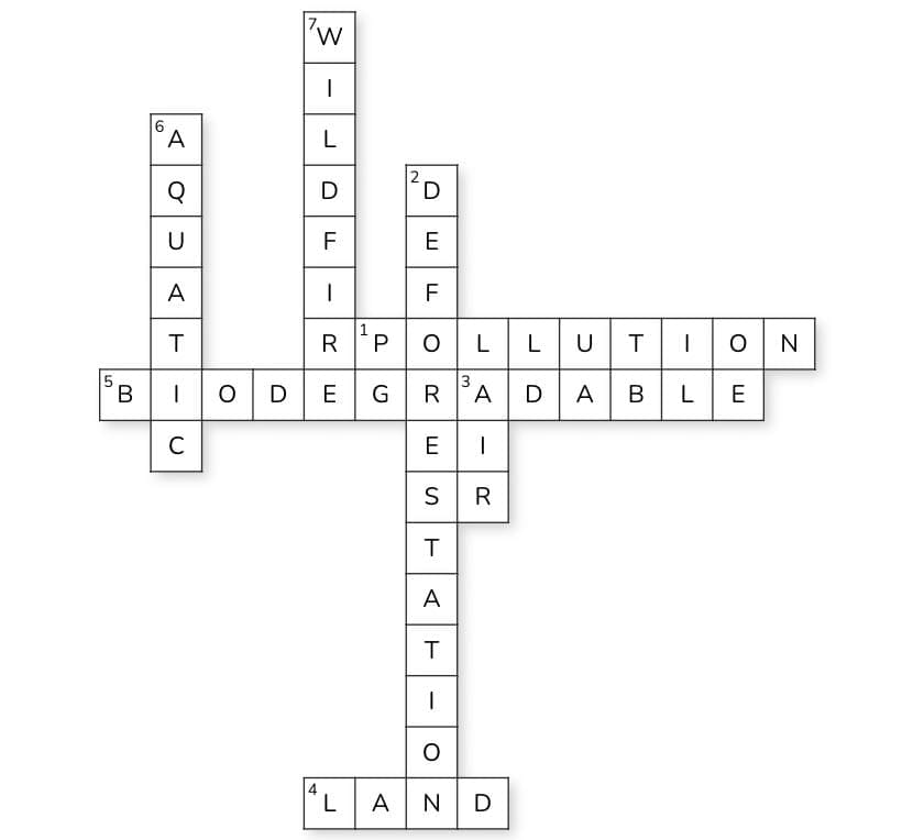 Q3: Cross Puzzle